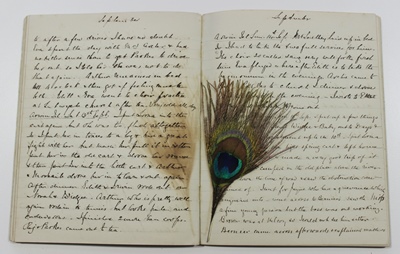 Peacock-Feather-Whish-Diary